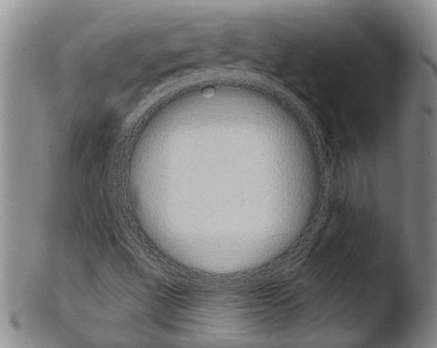 X0000103961496200810311601