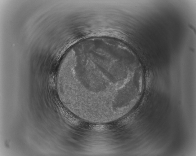 X0000103961497200810311601