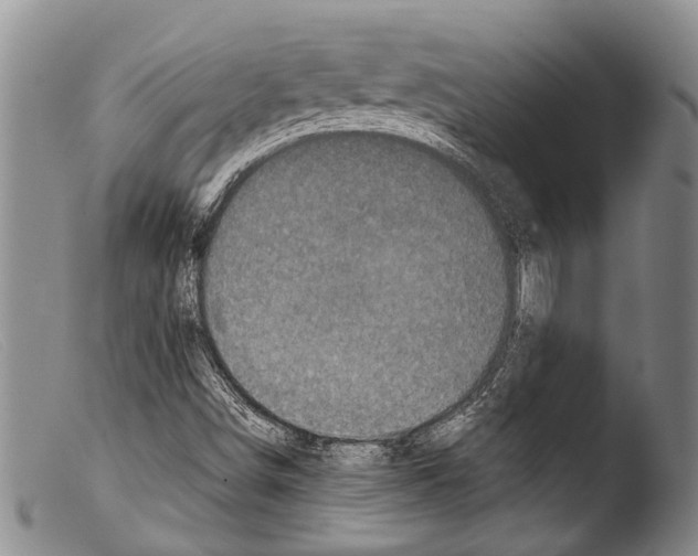 X0000103961498200810311601
