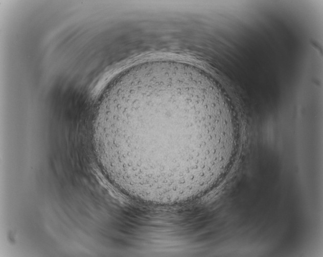X0000103961499200810311601