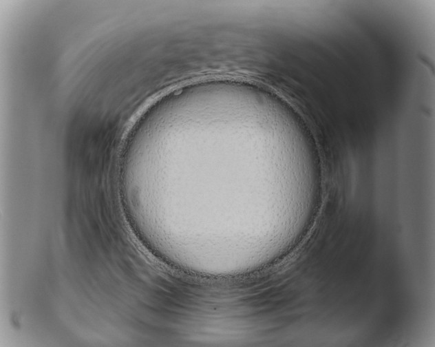 X0000103961500200810311601