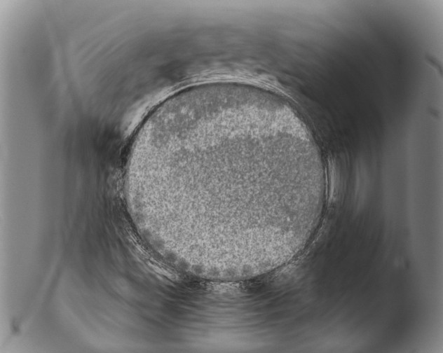 X0000103961501200810311601