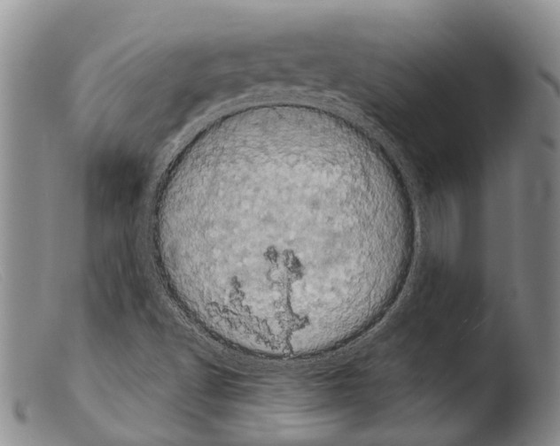 X0000103961502200810311601