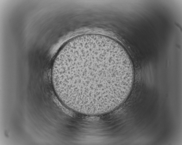 X0000103961503200810311601