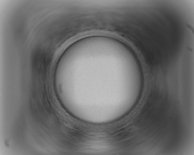 X0000103961504200810311601