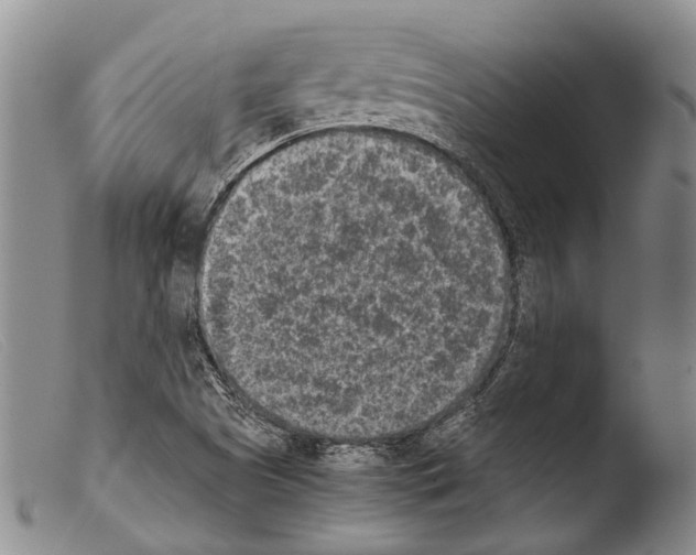 X0000103961505200810311601