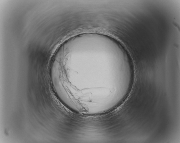 X0000103961506200810311601