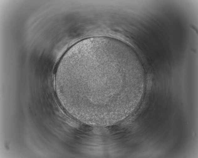 X0000103961509200810311601