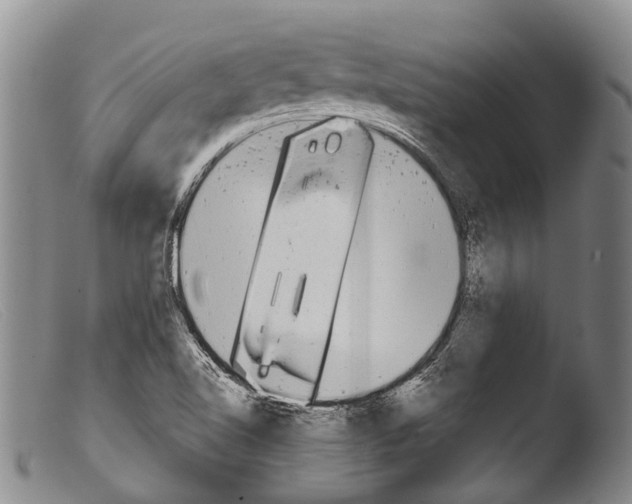 X0000103961510200810311601