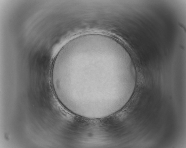 X0000103961512200810311601