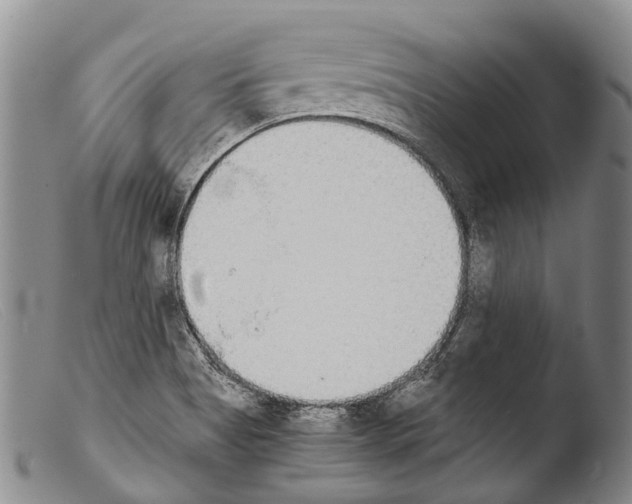 X0000103961513200810311601