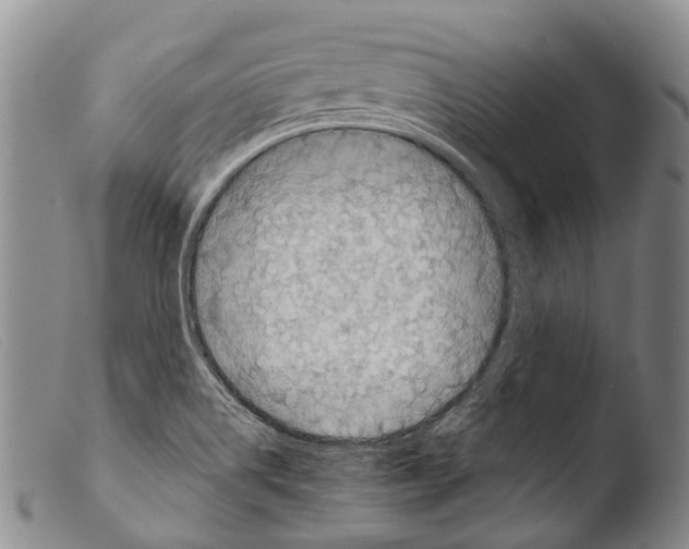 X0000103961514200810311601
