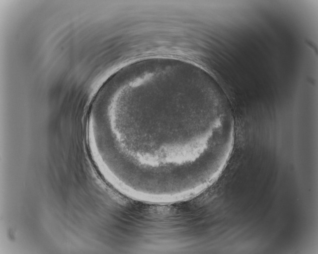 X0000103961515200810311601