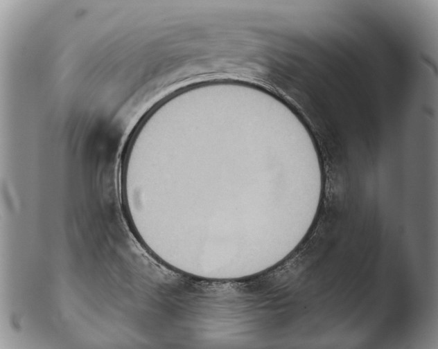 X0000103961516200810311601