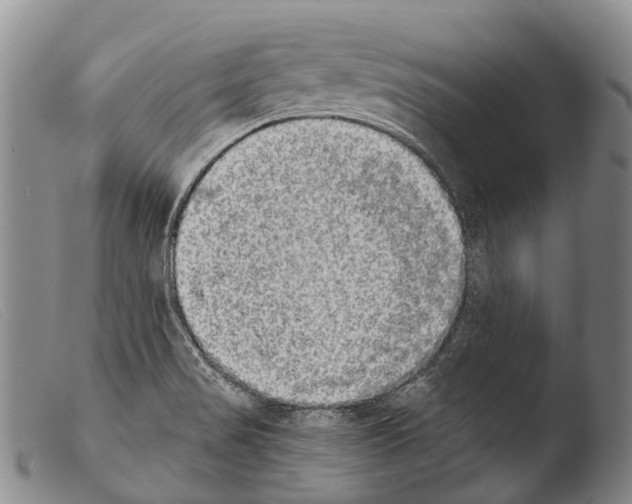 X0000103961517200810311601