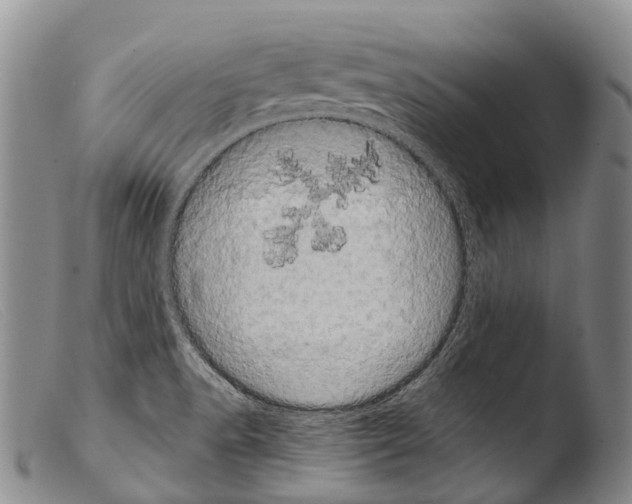 X0000103961518200810311601