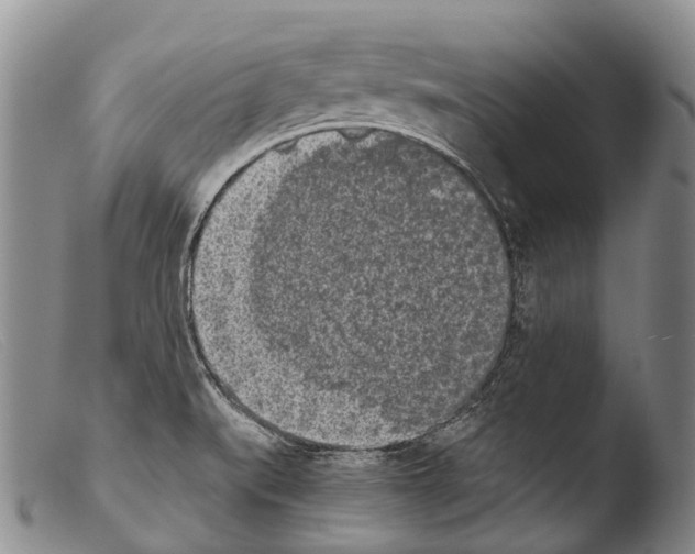 X0000103961519200810311601