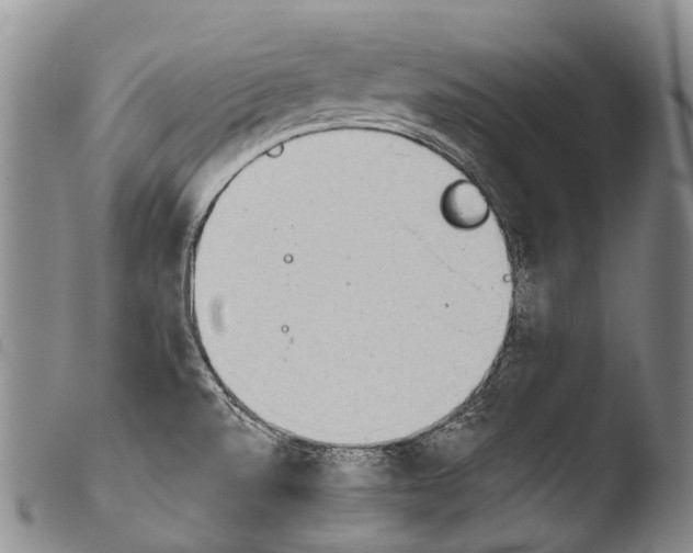X0000103961520200810311601
