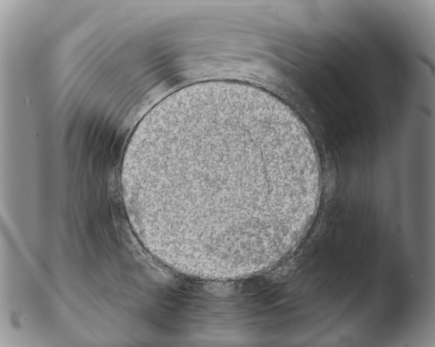 X0000103961521200810311601