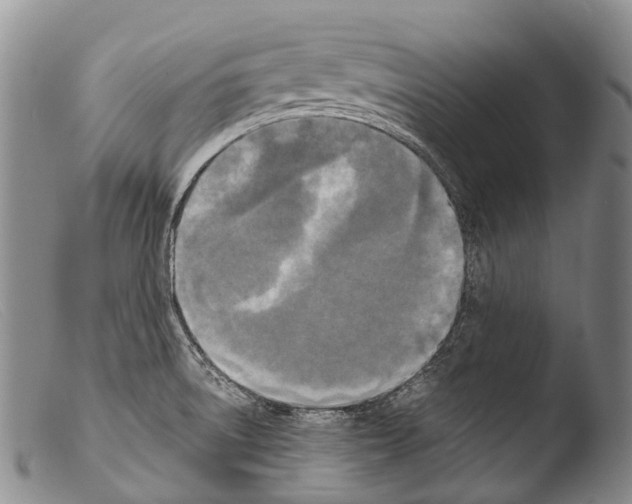 X0000103961522200810311602