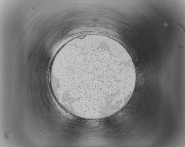 X0000103961523200810311602
