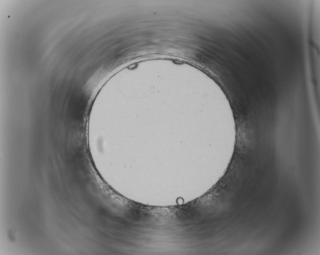 X0000103961524200810311602
