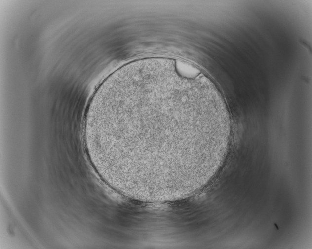 X0000103961525200810311602