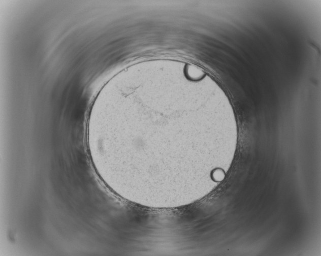 X0000103961528200810311602