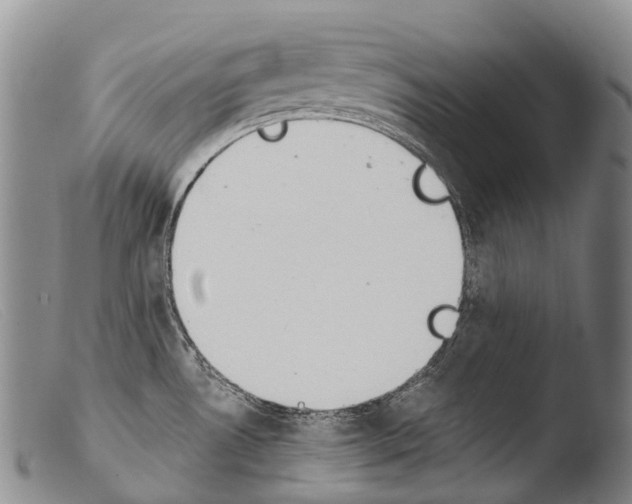 X0000103961530200810311602