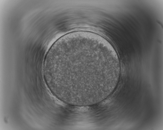 X0000103961533200810311602