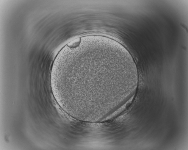 X0000103961534200810311602