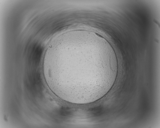 X0000103961536200810311602