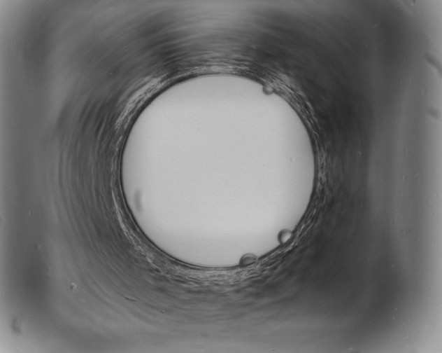 X0000103970001200809191410