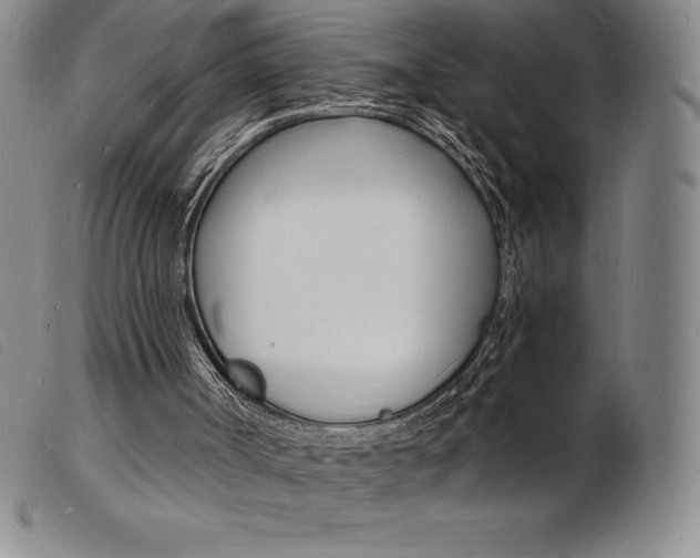 X0000103970002200809191410