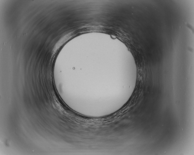 X0000103970004200809191410