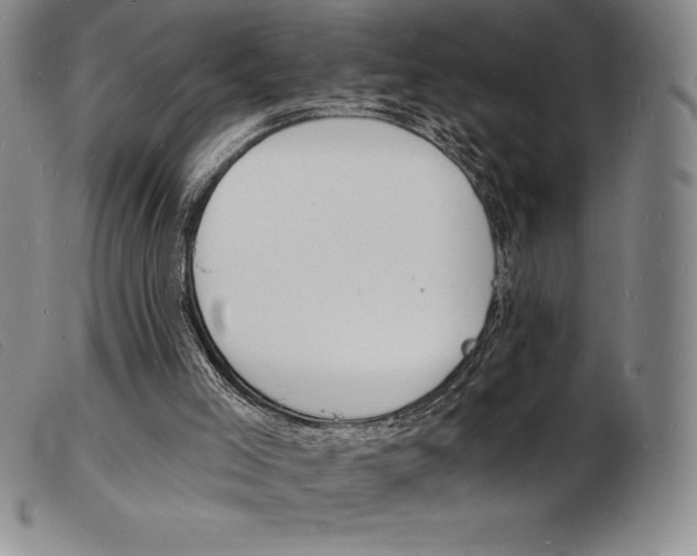 X0000103970005200809191410