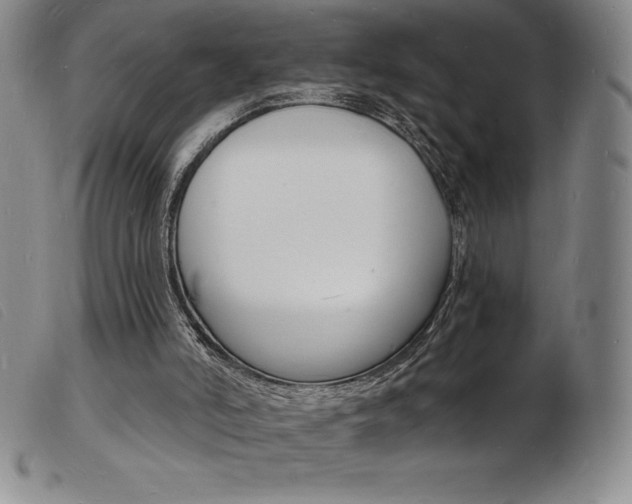 X0000103970006200809191410