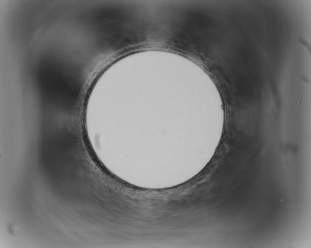 X0000103970007200809191410