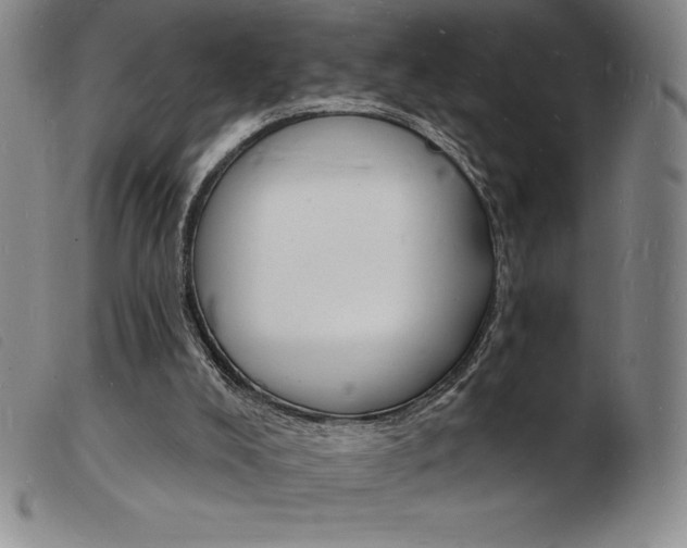 X0000103970008200809191410