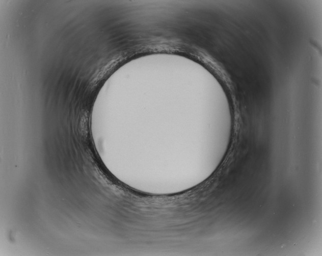 X0000103970009200809191410