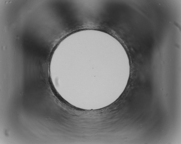 X0000103970011200809191410