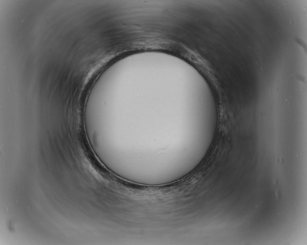 X0000103970012200809191410