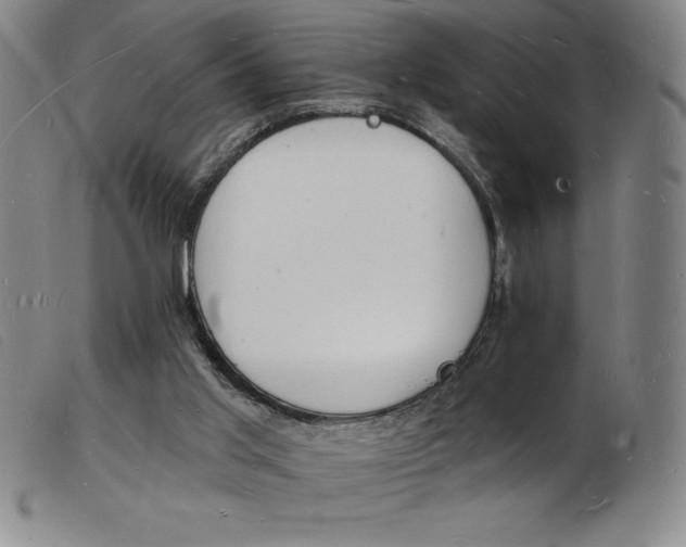 X0000103970013200809191410