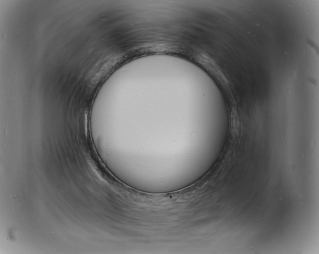 X0000103970014200809191410