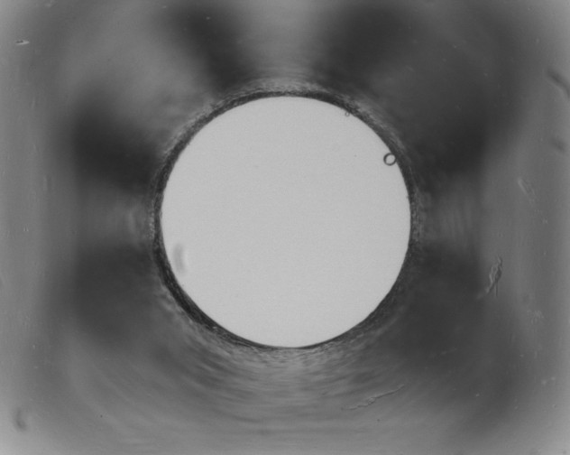 X0000103970015200809191410