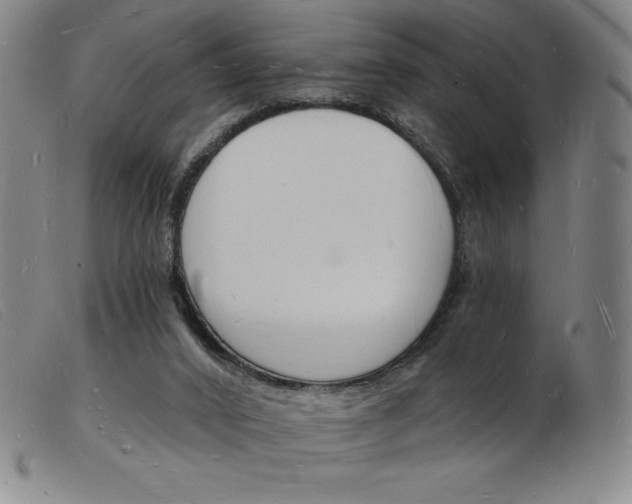 X0000103970016200809191410