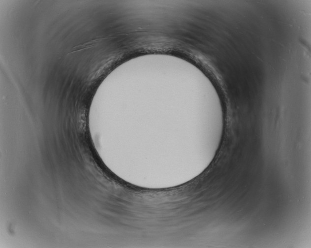 X0000103970017200809191410