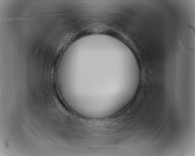 X0000103970018200809191410