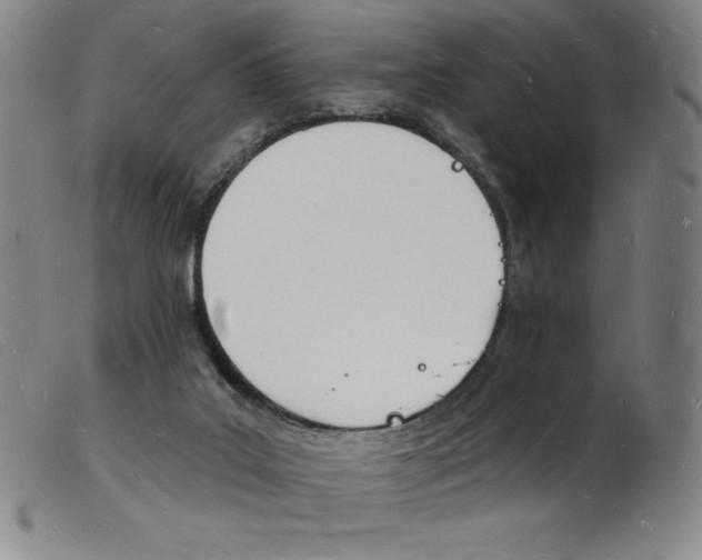 X0000103970019200809191410