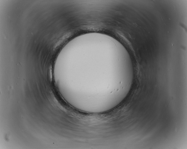 X0000103970020200809191410